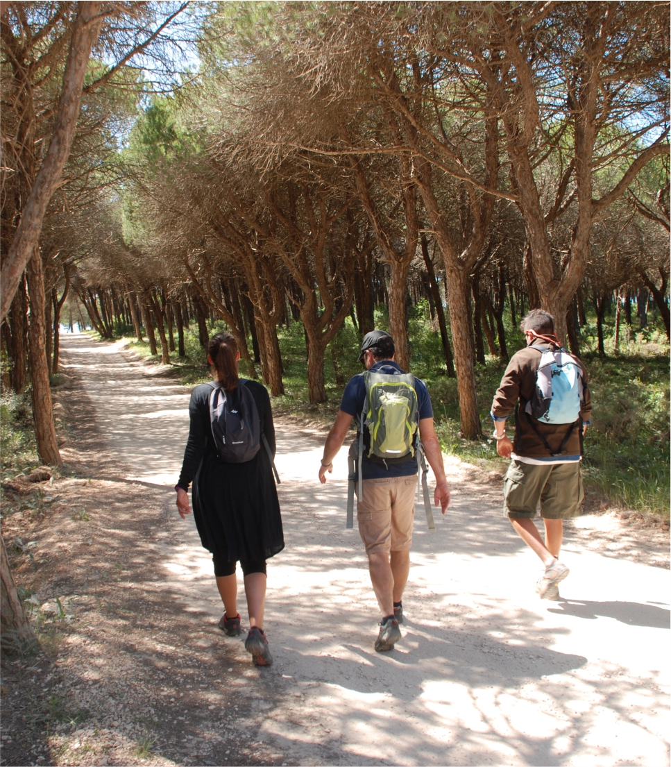 Walk The Algarve Way